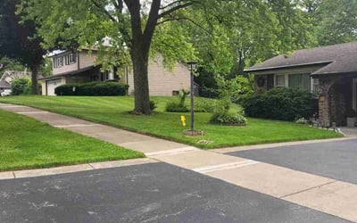 Photo of Tyrone W.'s yard after getting lawn care in Oak Lawn, IL