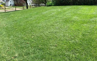 Photo of Jarrod R.'s yard after getting lawn care in Clementon, NJ