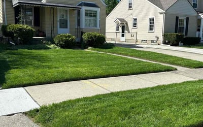 Photo of Joseph M.'s yard after getting lawn care in Berkley, MI