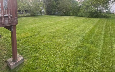 Photo of Kim A.'s yard after getting lawn care in Reynoldsburg, OH