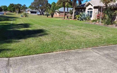 Photo of Pace W.'s yard after getting lawn care in Navarre, FL