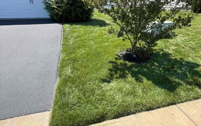 Photo of Denise H.'s yard after getting lawn care in Mason, OH