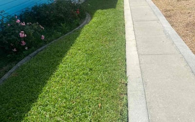 Photo of Bri M.'s yard after getting lawn care in Hempstead, NY