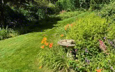 Photo of Mike P.'s yard after getting lawn care in Apollo, PA