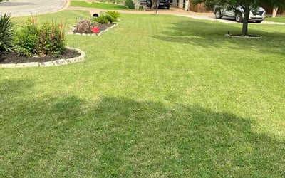 Photo of Lauren C.'s yard after getting lawn care in Austin, TX
