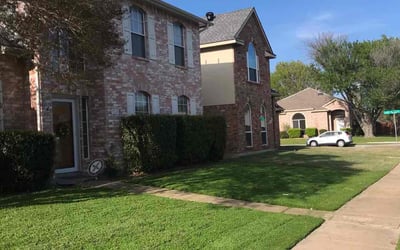 Photo of Camila H.'s yard after getting lawn care in Garland, TX