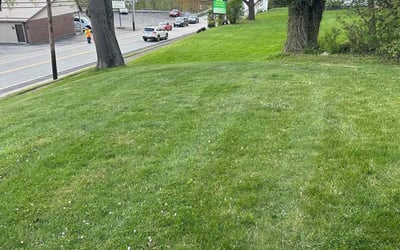 Photo of Kim G.'s yard after getting lawn care in Uniontown, PA