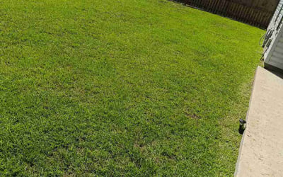 Photo of Ryan C.'s yard after getting lawn care in Slidell, LA