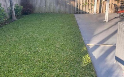 Photo of Raymond F.'s yard after getting lawn care in Tucson, AZ
