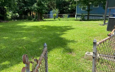 Photo of Sheryl P.'s yard after getting lawn care in Hollywood, FL