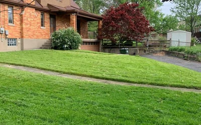 Photo of Yvonne L.'s yard after getting lawn care in Cincinnati, OH