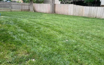Photo of Amanda P.'s yard after getting lawn care in Linden, NJ
