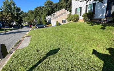 Photo of Tammy D.'s yard after getting lawn care in Gaithersburg, MD