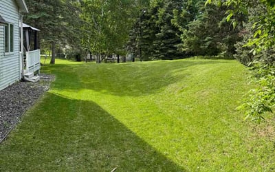 Photo of Andrew L.'s yard after getting lawn care in Monticello, MN