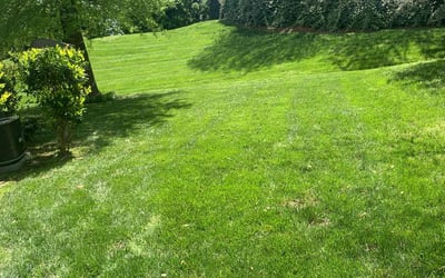Photo of Sandra C.'s yard after getting lawn care in Asheboro, NC