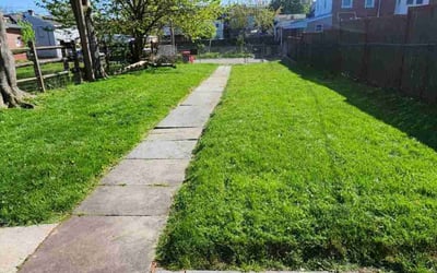 Photo of Christina H.'s yard after getting lawn care in Norristown, PA