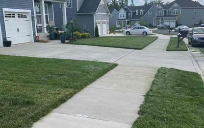 Photo of Wendy W.'s yard after getting lawn care in Dale City, VA