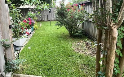 Photo of Calvin A.'s yard after getting lawn care in Friendswood, TX