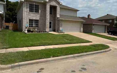 Photo of Yvette A.'s yard after getting lawn care in Laguna Hills, CA
