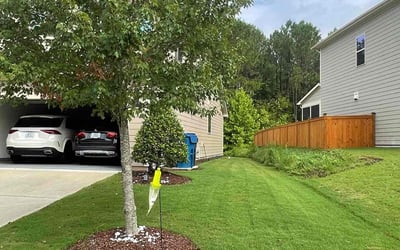 Photo of Julie H.'s yard after getting lawn care in Sarasota, FL