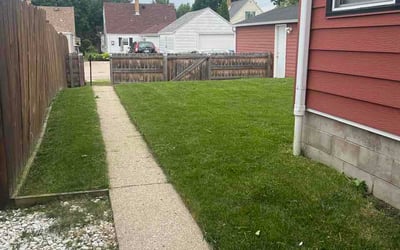 Photo of Tom D.'s yard after getting lawn care in Murrysville, PA