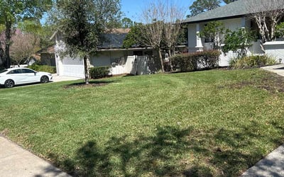 Photo of Ken C.'s yard after getting lawn care in Far Rockaway, NY