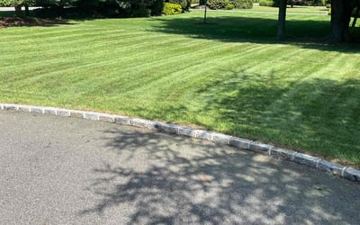 Photo of Dennis S.'s yard after getting lawn care in Islip, NY