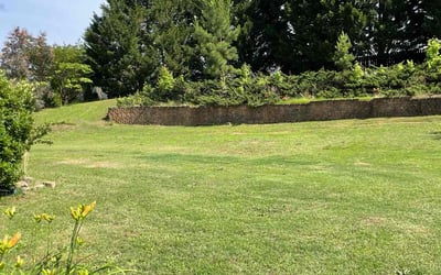 Photo of Letizia T.'s yard after getting lawn care in Greer, SC