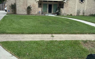 Photo of Zach F.'s yard after getting lawn care in Puyallup, WA