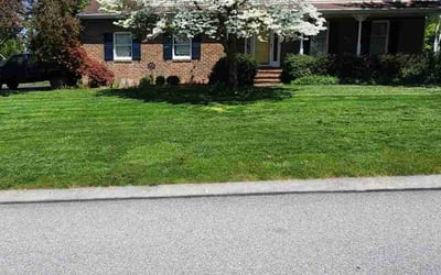 Photo of Jesse B.'s yard after getting lawn care in Hanover, PA