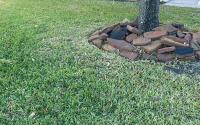 Photo of Bethanie P.'s yard after getting lawn care in Connellsville, PA