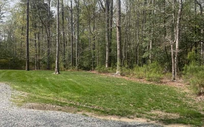 Photo of Michael T.'s yard after getting lawn care in Mechanicsville, VA