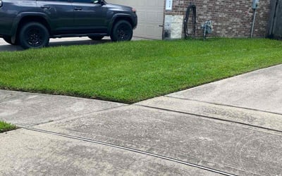 Photo of Cathy W.'s yard after getting lawn care in Millsboro, DE