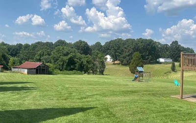 Photo of Kizzy J.'s yard after getting lawn care in Madison, NC