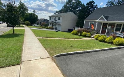 Photo of Terri L.'s yard after getting lawn care in Saddle Brook, NJ