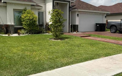 Photo of Travis B.'s yard after getting lawn care in McAllen, TX
