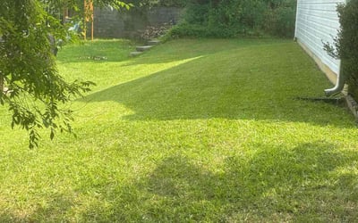 Photo of Jonathan H.'s yard after getting lawn care in Cincinnati, OH