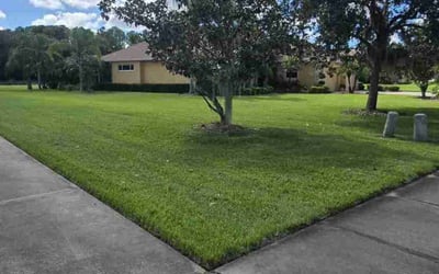 Photo of Anthony P.'s yard after getting lawn care in Parrish, FL