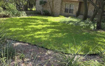 Photo of Gabrielle G.'s yard after getting lawn care in Floresville, TX