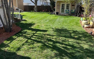 Photo of Levon V.'s yard after getting lawn care in Grand Junction, CO