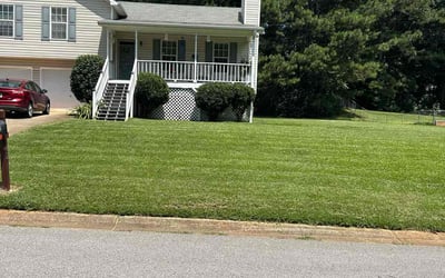 Photo of Phillip G.'s yard after getting lawn care in Dallas, GA