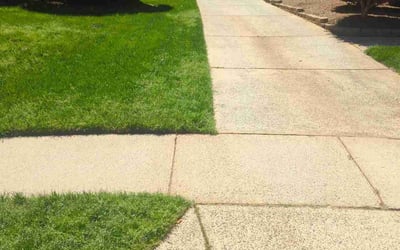 Photo of Dejo J.'s yard after getting lawn care in Charlotte, NC