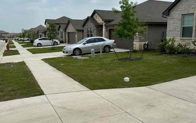 Photo of Elizabeth C.'s yard after getting lawn care in Eustis, FL