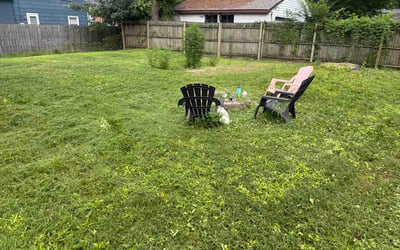 Photo of January J.'s yard after getting lawn care in Trenton, NJ