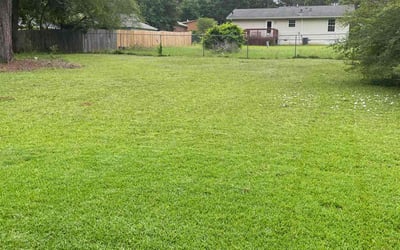 Photo of Andrew M.'s yard after getting lawn care in Cohoes, NY