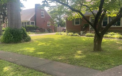 Photo of Susie M.'s yard after getting lawn care in Shelbyville, KY
