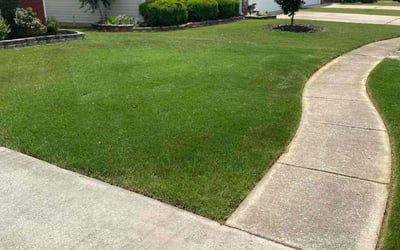 Photo of Mary C.'s yard after getting lawn care in Center Point, AL