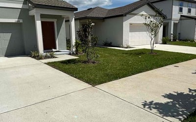 Photo of Janae V.'s yard after getting lawn care in Dade City, FL