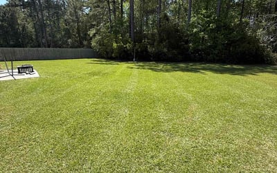 Photo of Christopher G.'s yard after getting lawn care in Jacksonville, NC