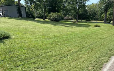 Photo of Maria S.'s yard after getting lawn care in Topeka, KS